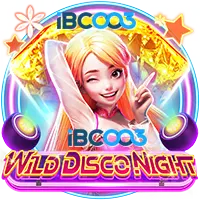 Wild Disco Night