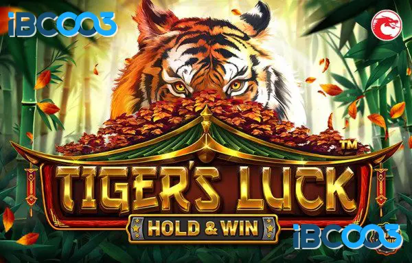 Tiger’s Luck – HOLD & WIN
